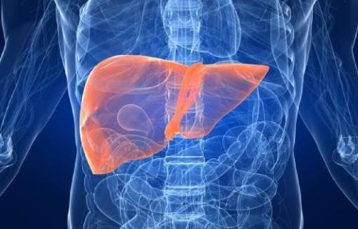 Fuente: Getty Images.