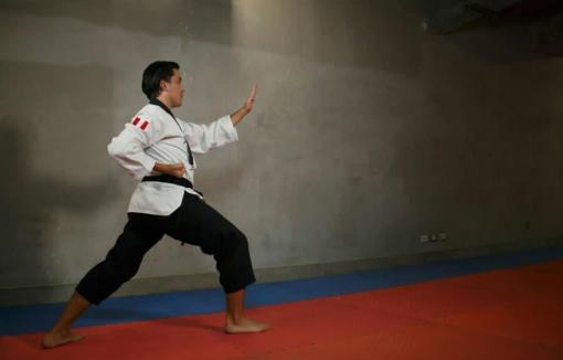 Desde su conformación, la selección de taekwondo UPN tiene en su haber premios logrados en diferentes torneos.