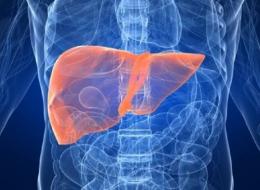 Fuente: Getty Images.