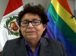 “Proponemos modificar el artículo sobre el matrimonio civil, definiéndolo como la unión entre dos personas que legítimamente aceptan unirse y hacer vida en común”, expresó la legisladora.